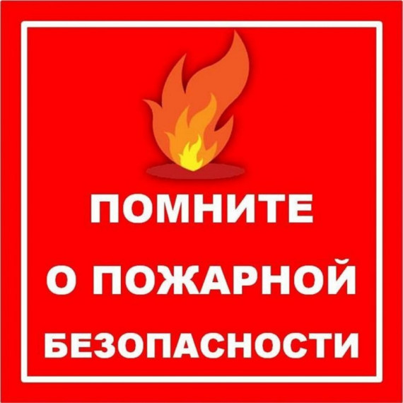 Всероссийской акции "Мои безопасные каникулы".
